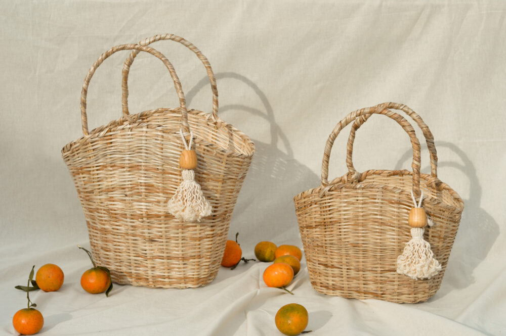 Bernardina grande - Image 3