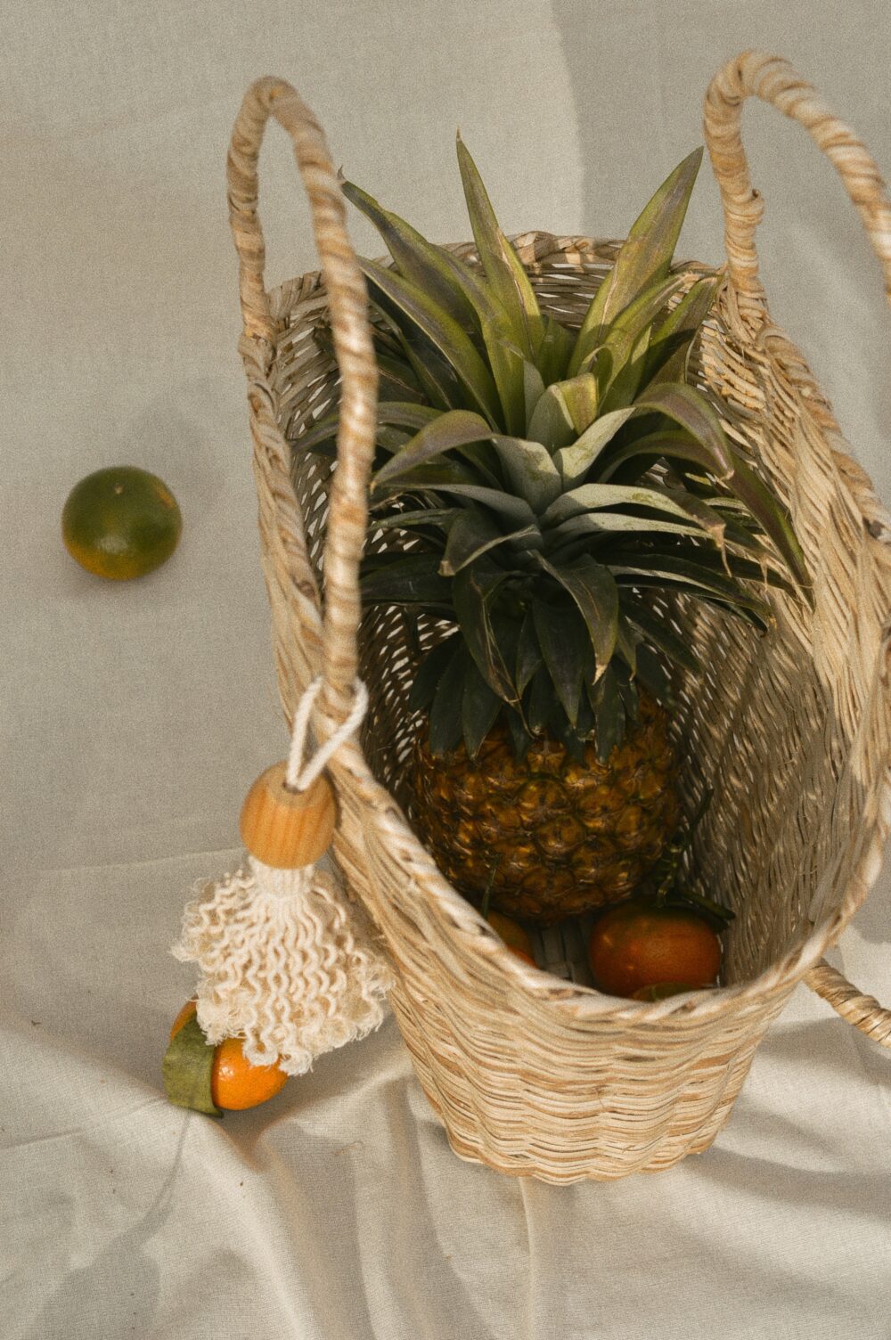 Bernardina grande - Image 2