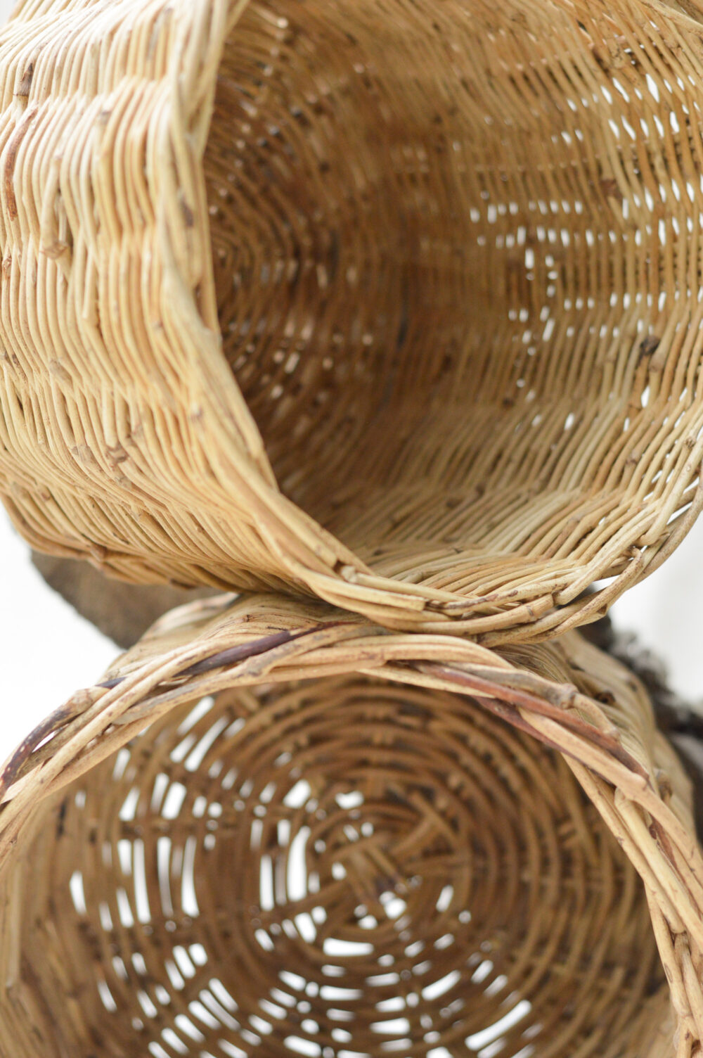 Apolonia II - Image 4