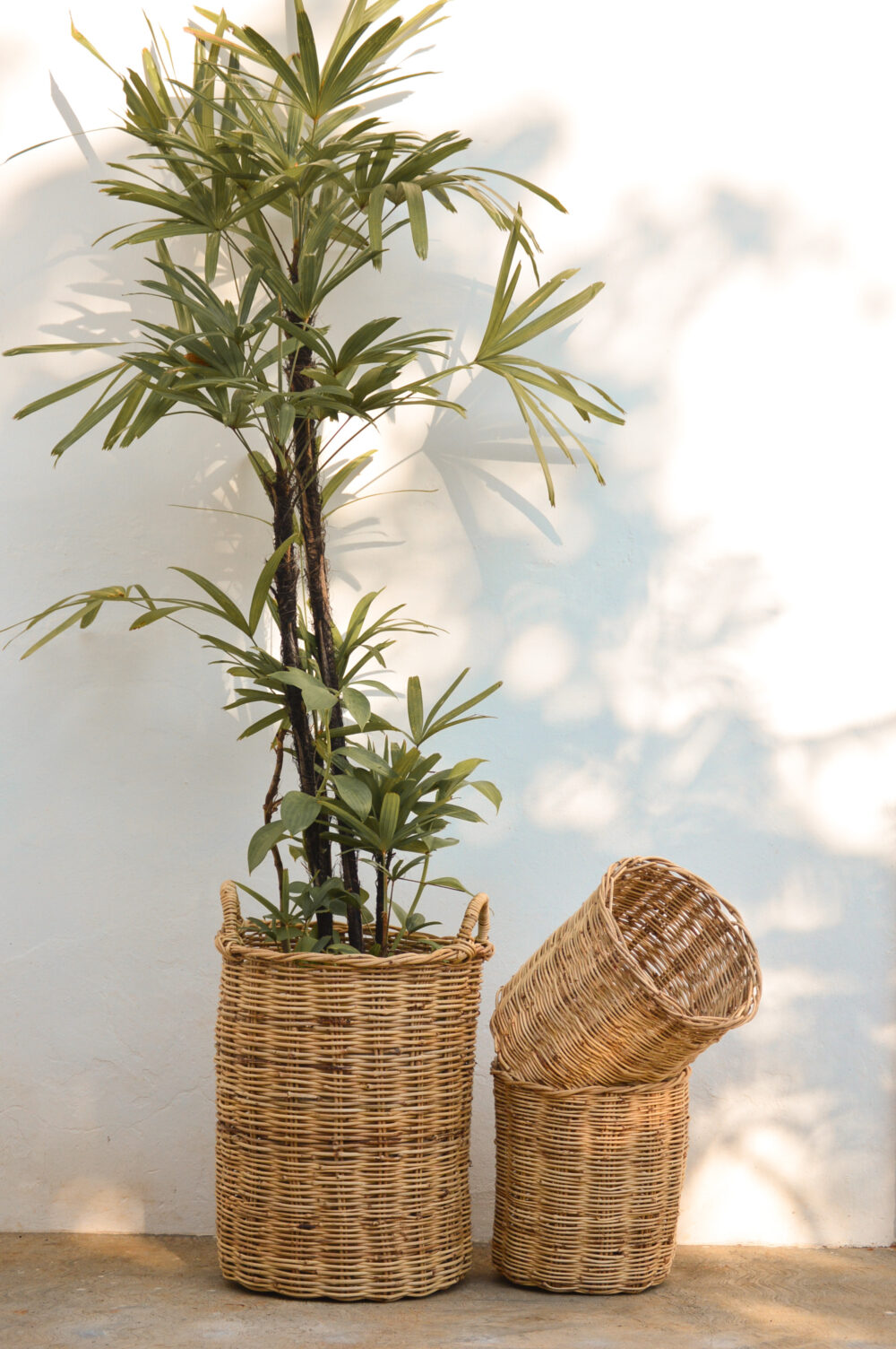 Bertoldo I - Image 4