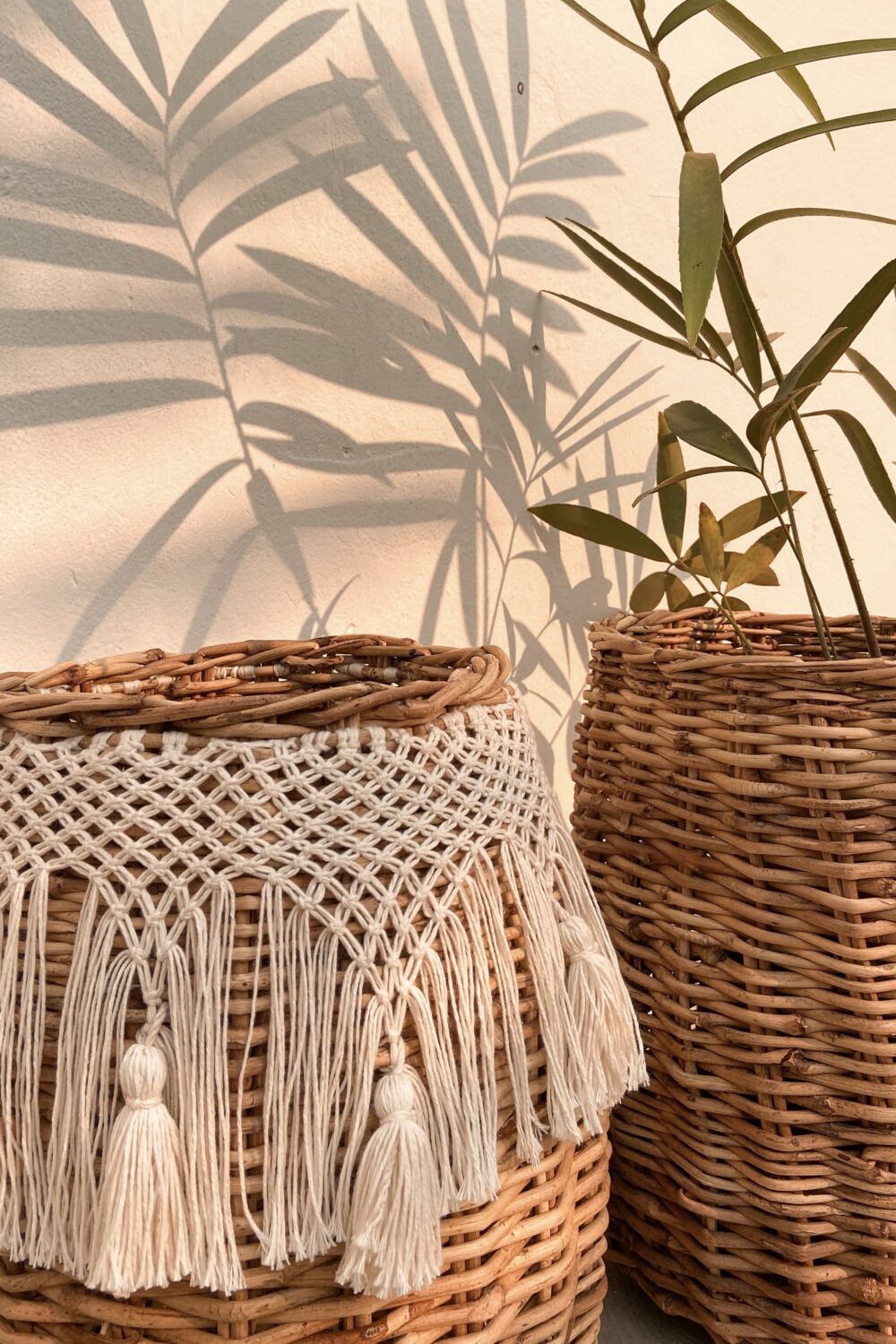 Esteban con hilaza - Image 2