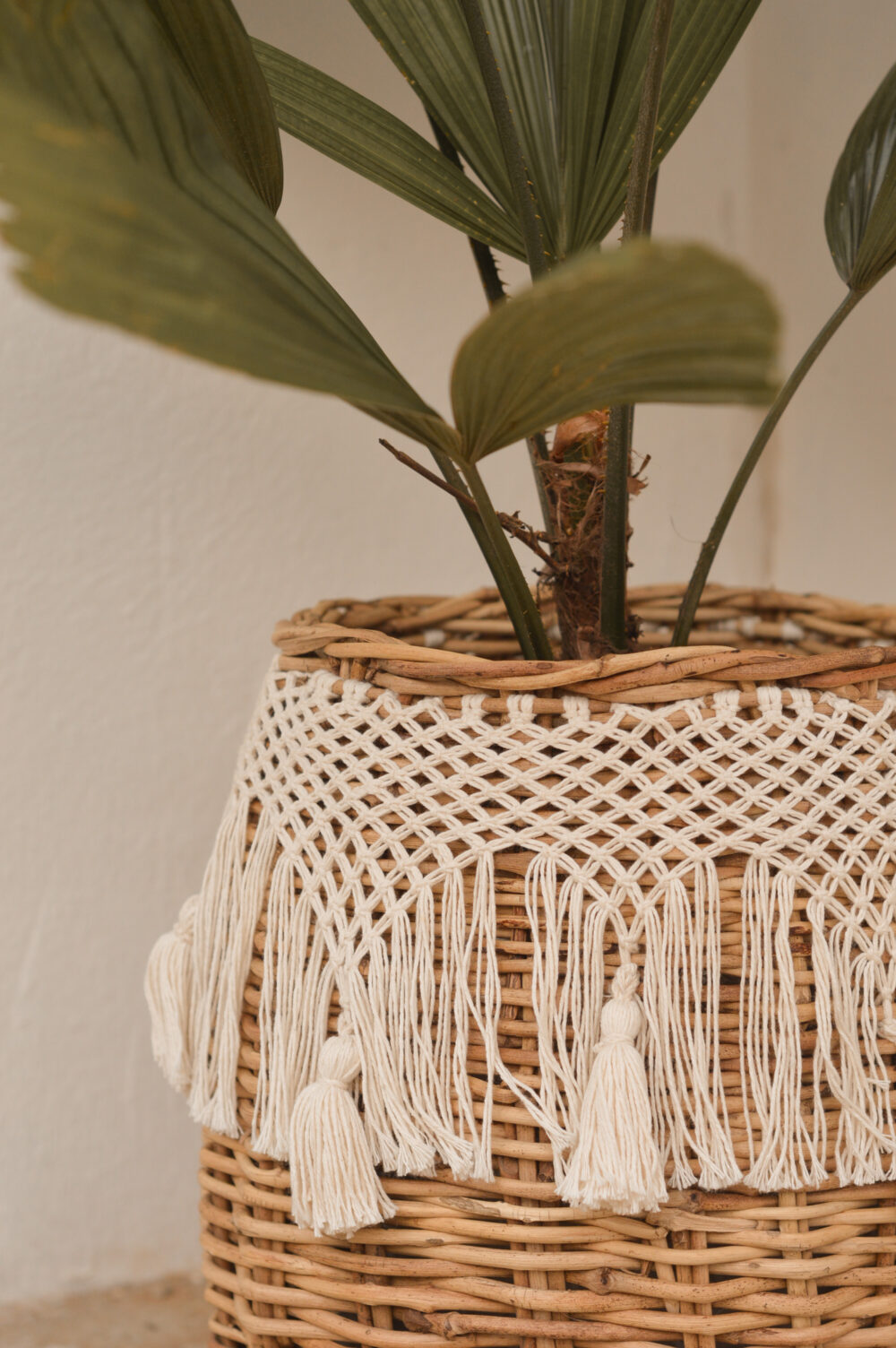 Esteban con hilaza - Image 3