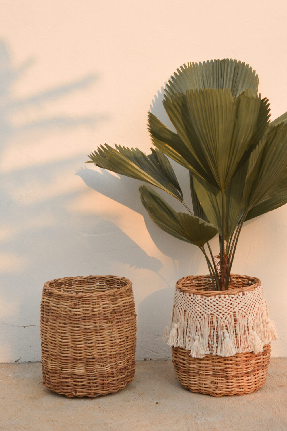 Esteban con hilaza - Image 4