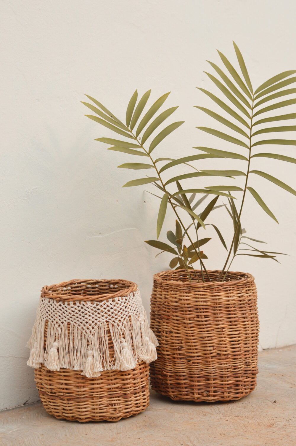 Esteban con hilaza - Image 6