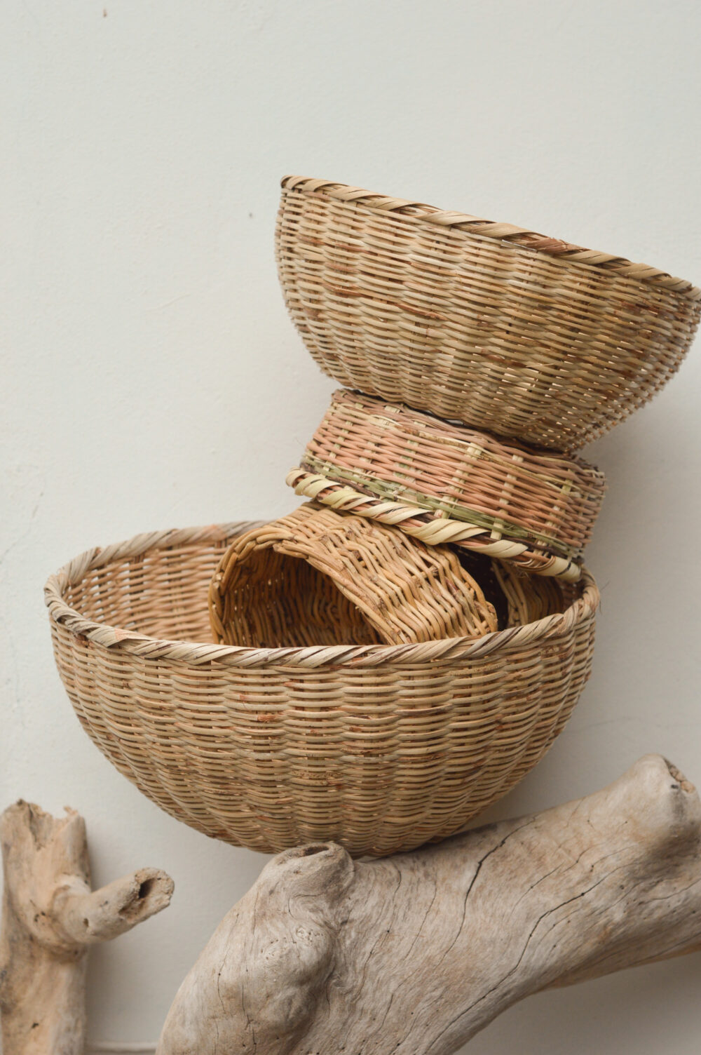 Guanábana - Image 4