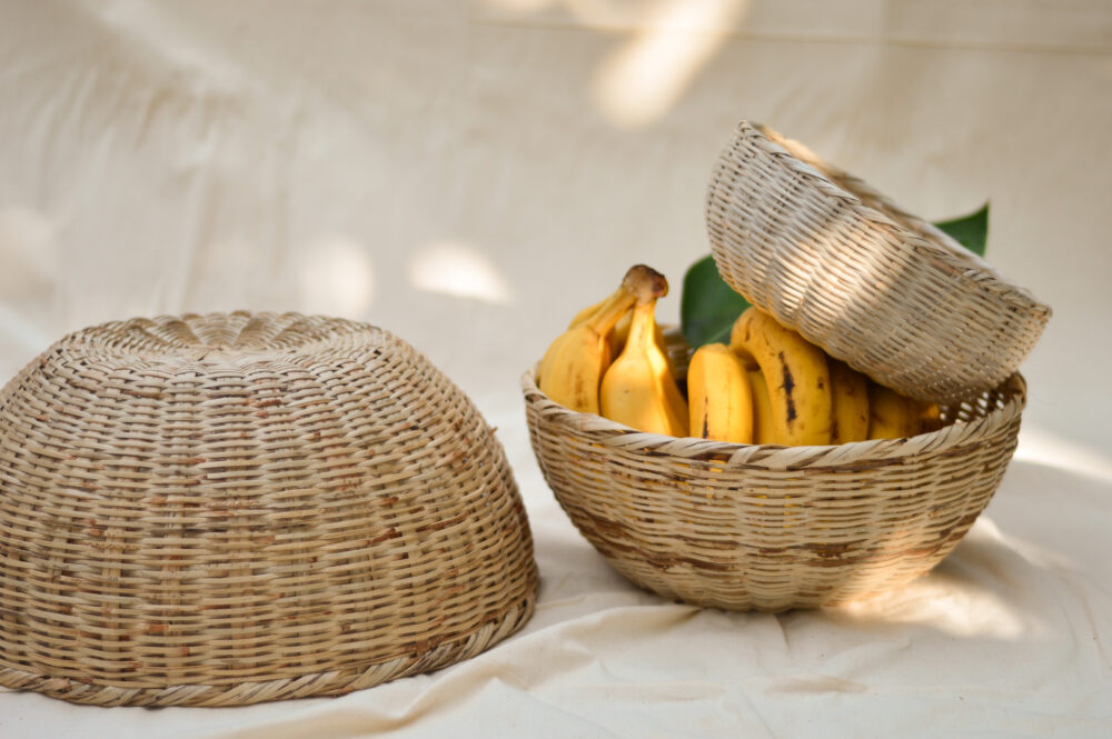 Guanábana - Image 5