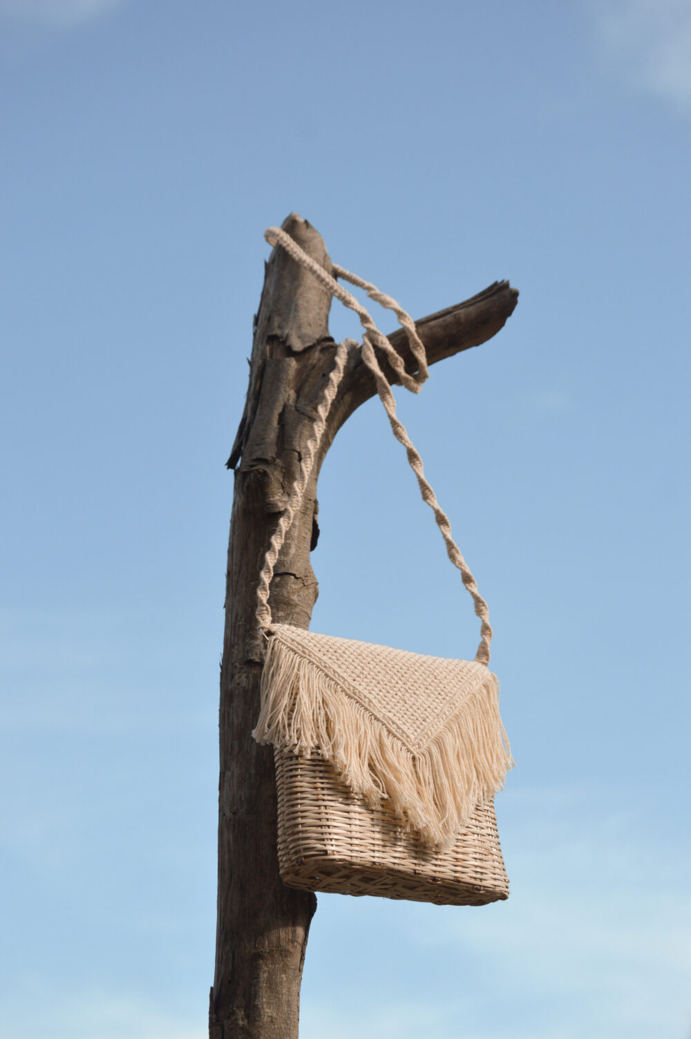 María - Image 6
