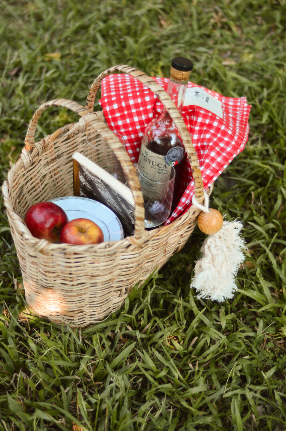 Picnic II