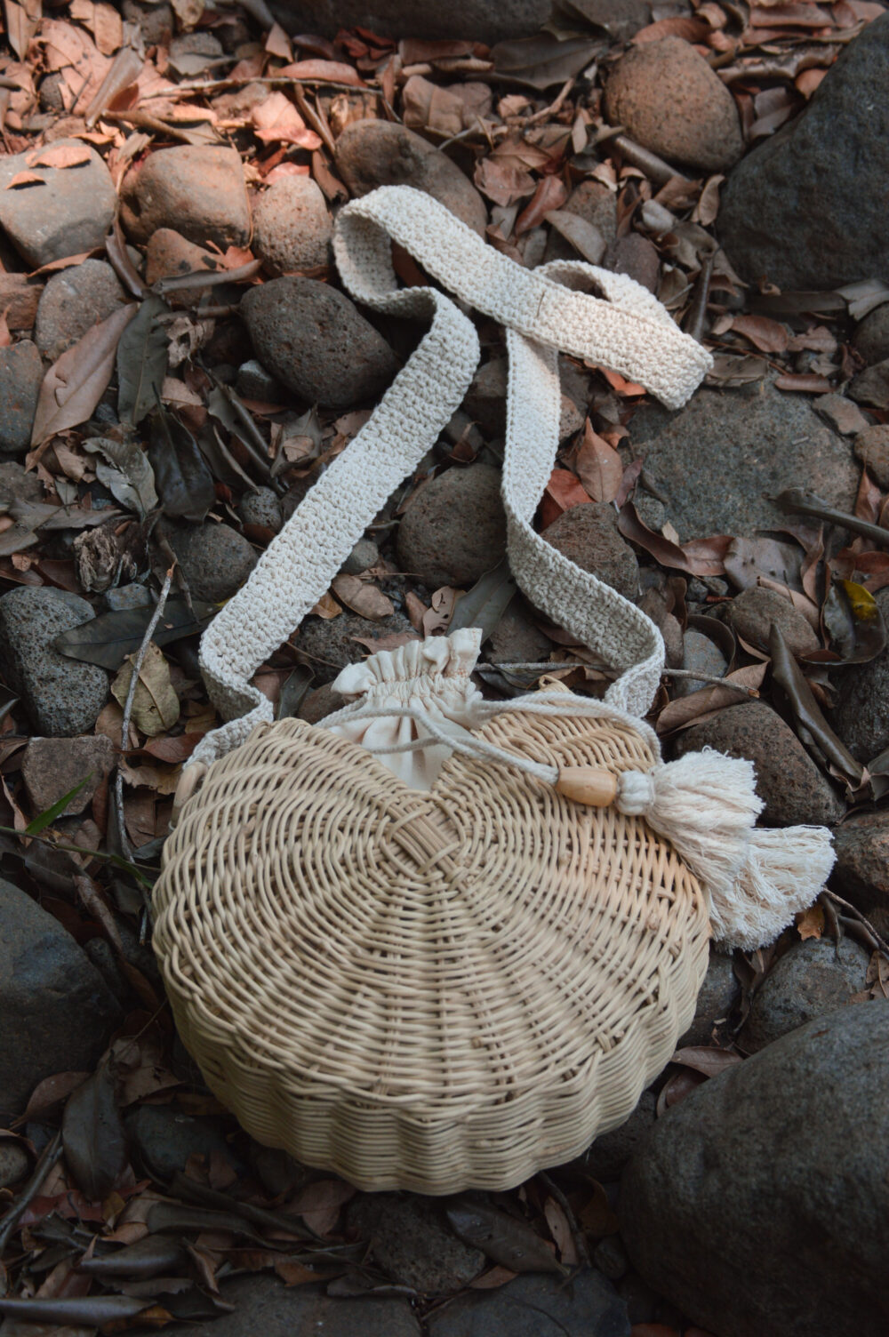 Ximena - Image 3
