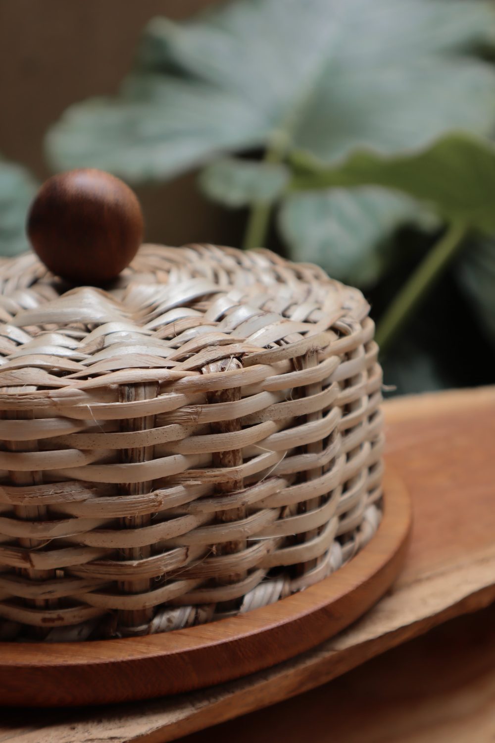 Set fandango sureño - Image 4