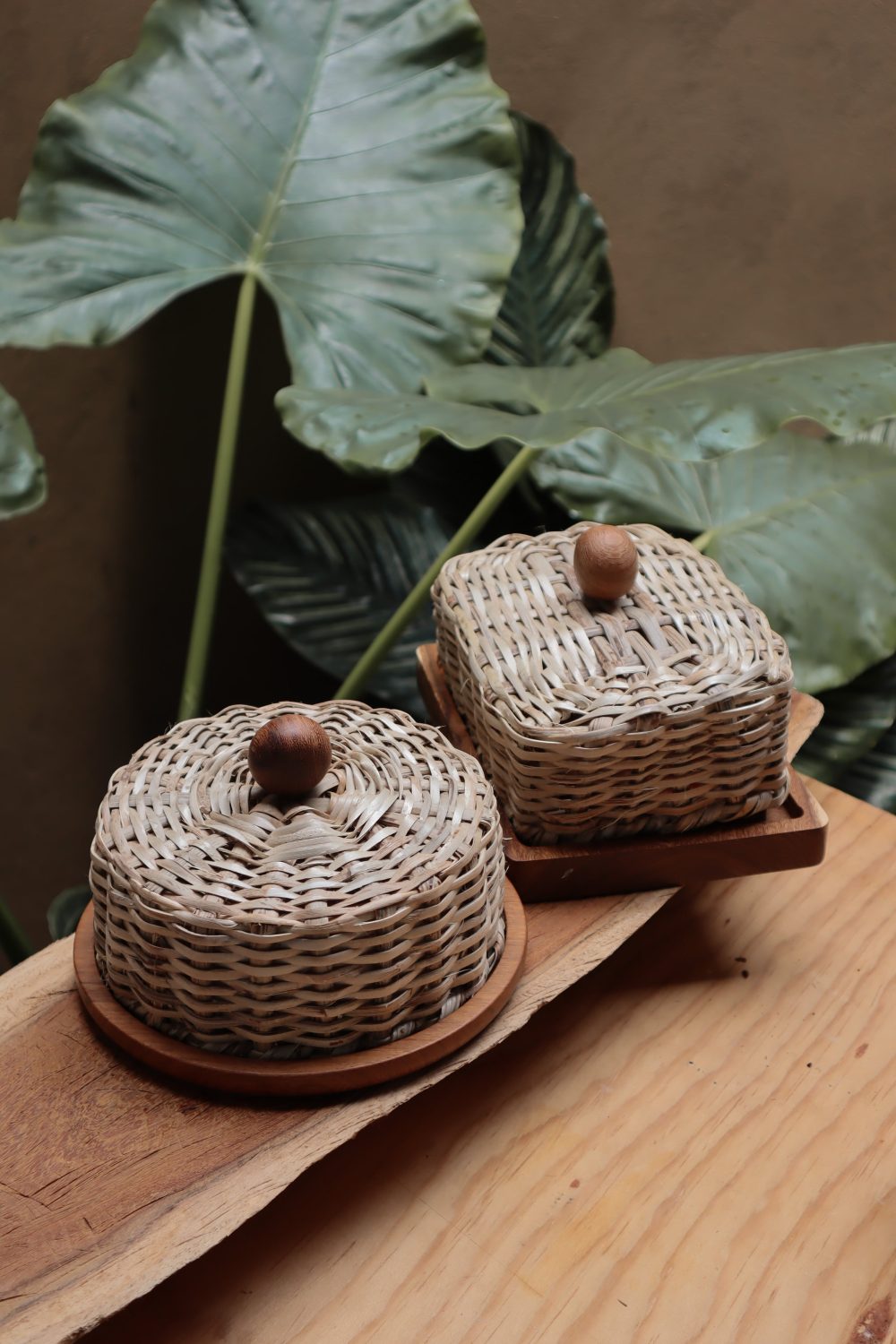 Set fandango sureño - Image 5