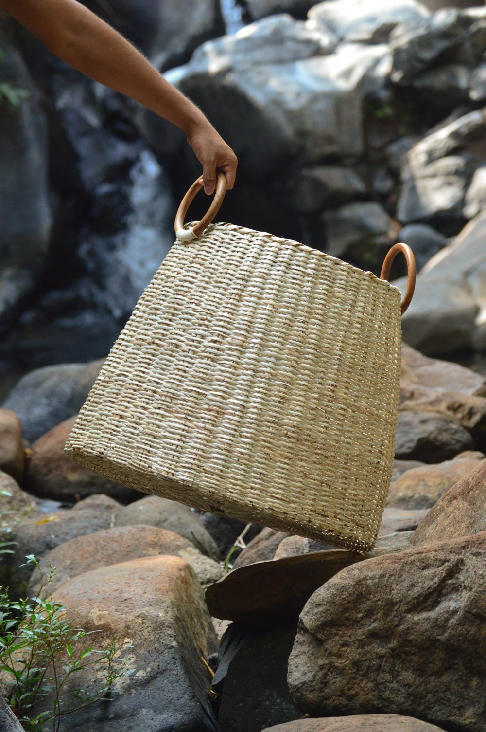 Cesto San Martín - Image 7