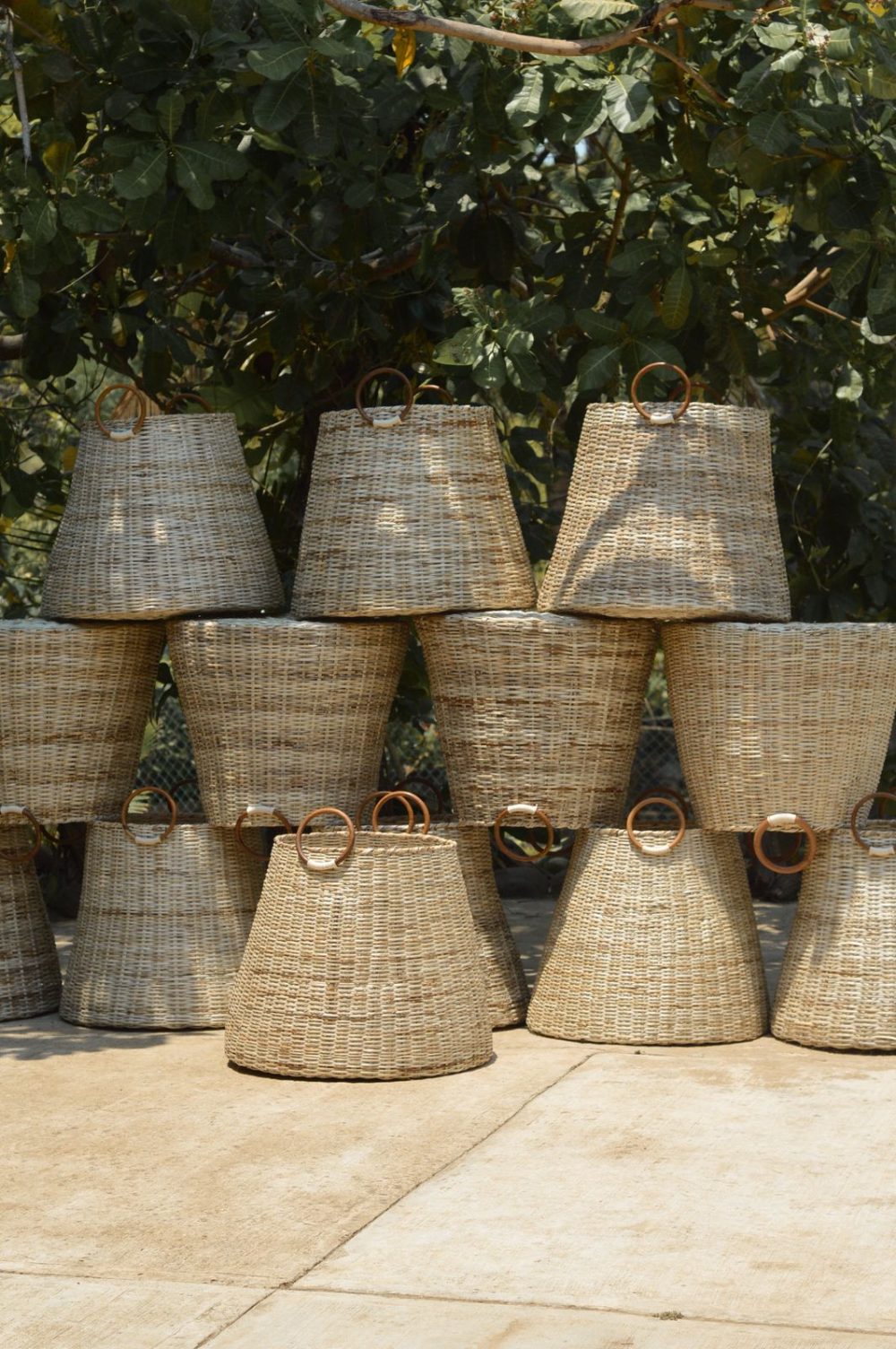 Cesto San Martín - Image 5